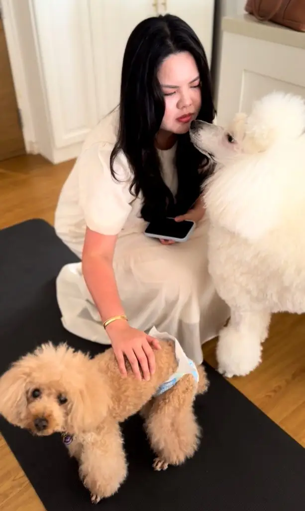 shena doing reiki healing