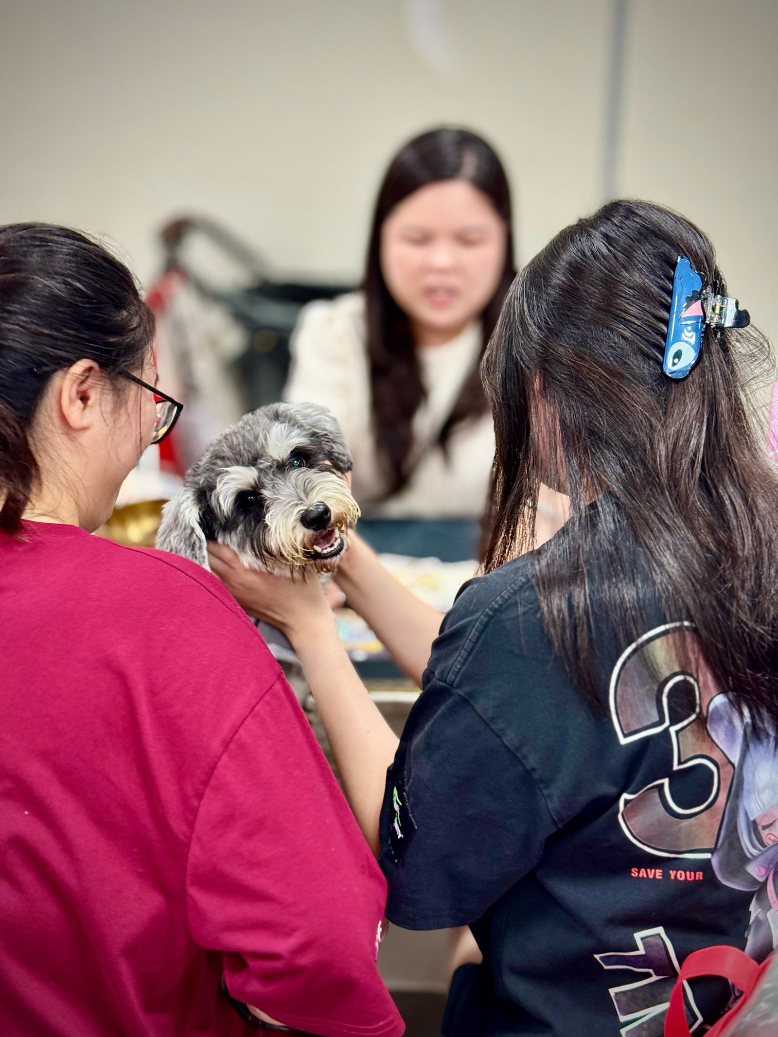 Stitch at Pet Tarot at Jurong Lake Garden Safra Event