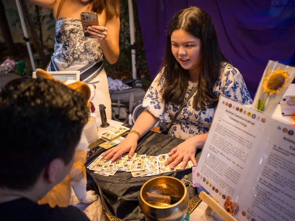 shena doing animal communication pet tarot