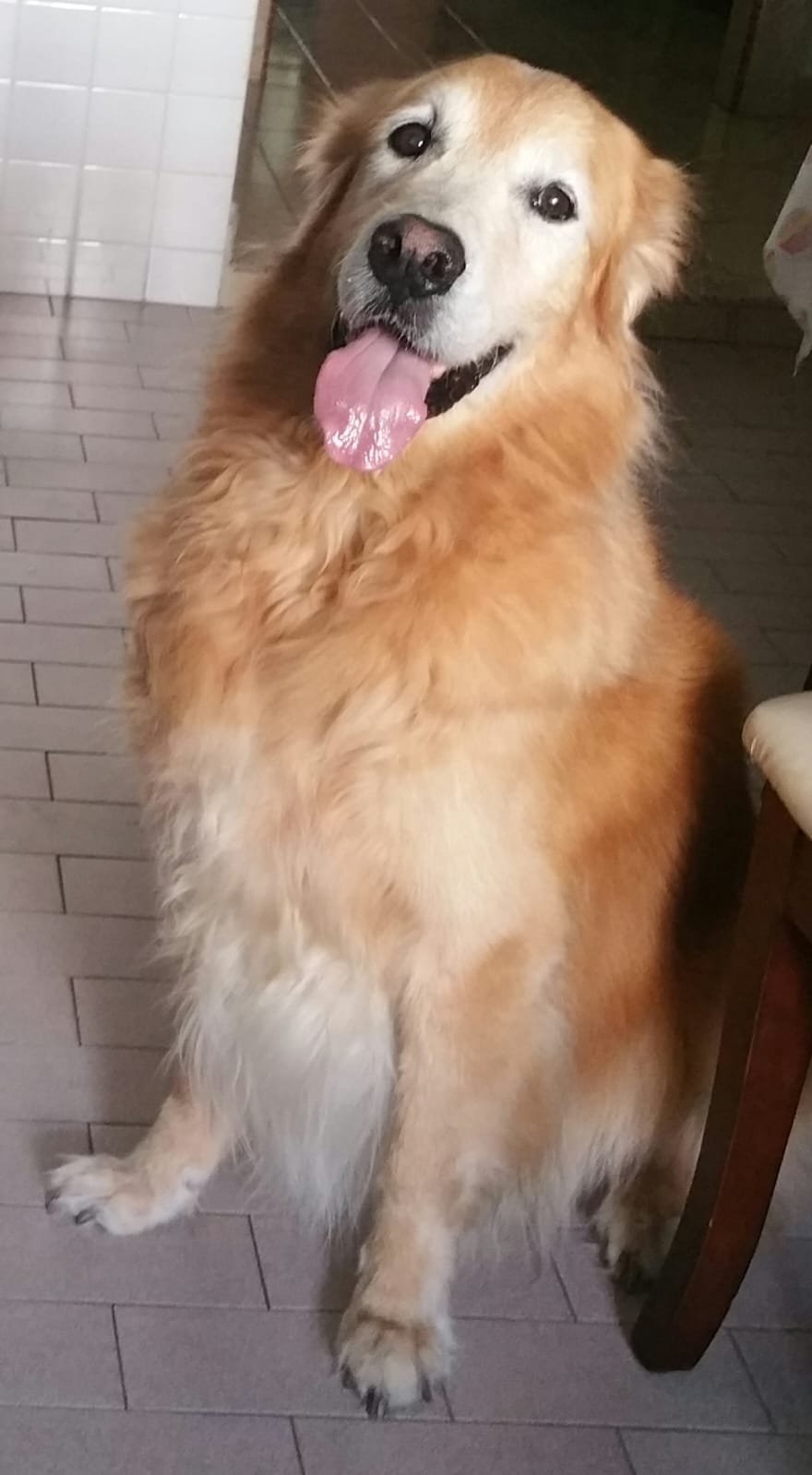 Hugo, Singapore